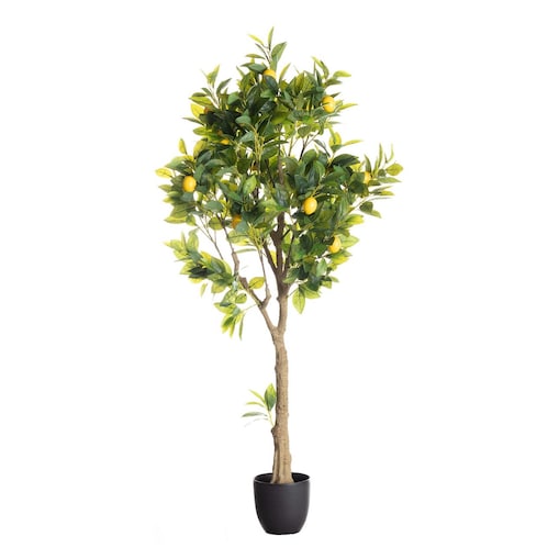 Drzewko Cytrynowe 146cm, 18 x 18 x 146 cm