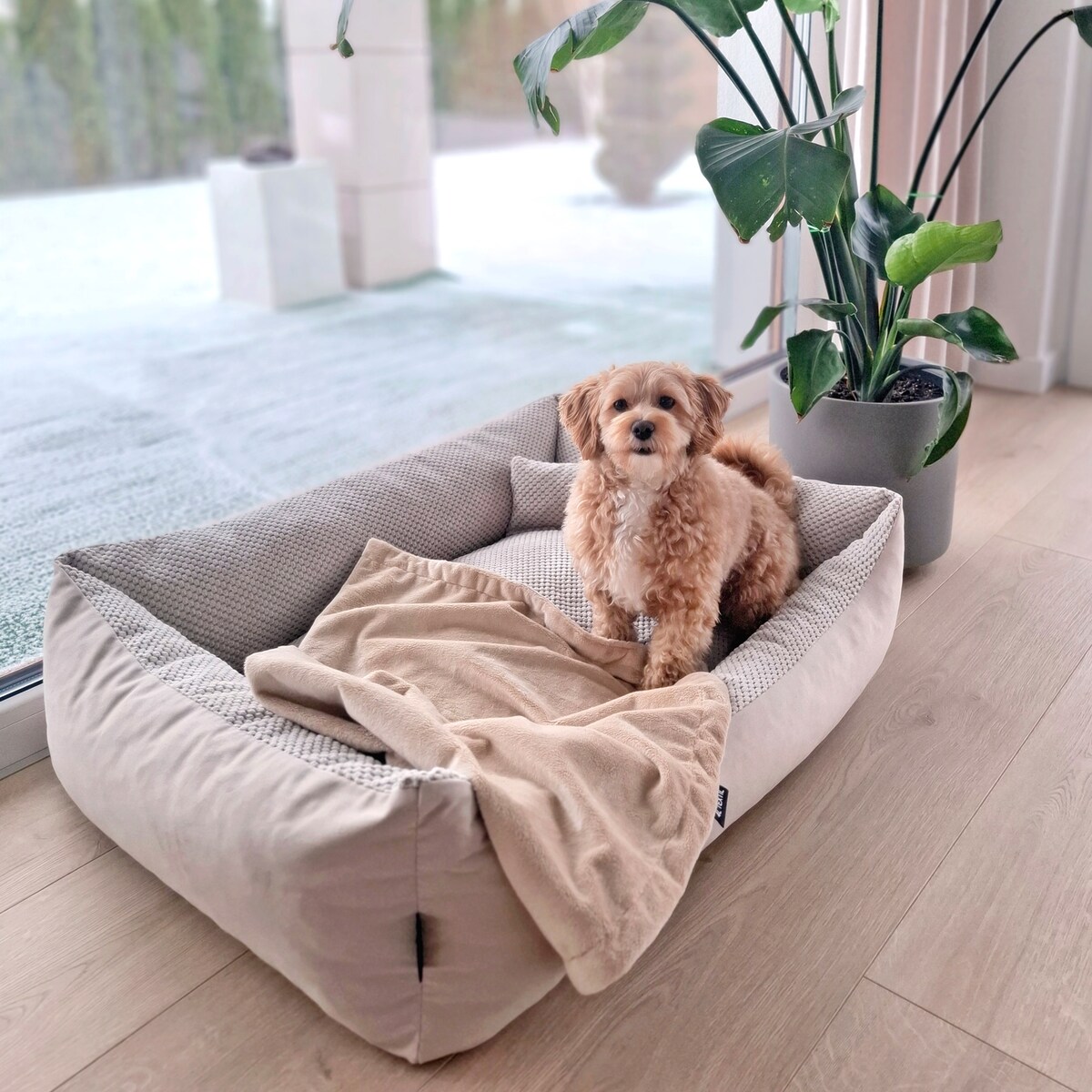 Przytulne legowisko dla psa TEO, 60x40 cm, Beż