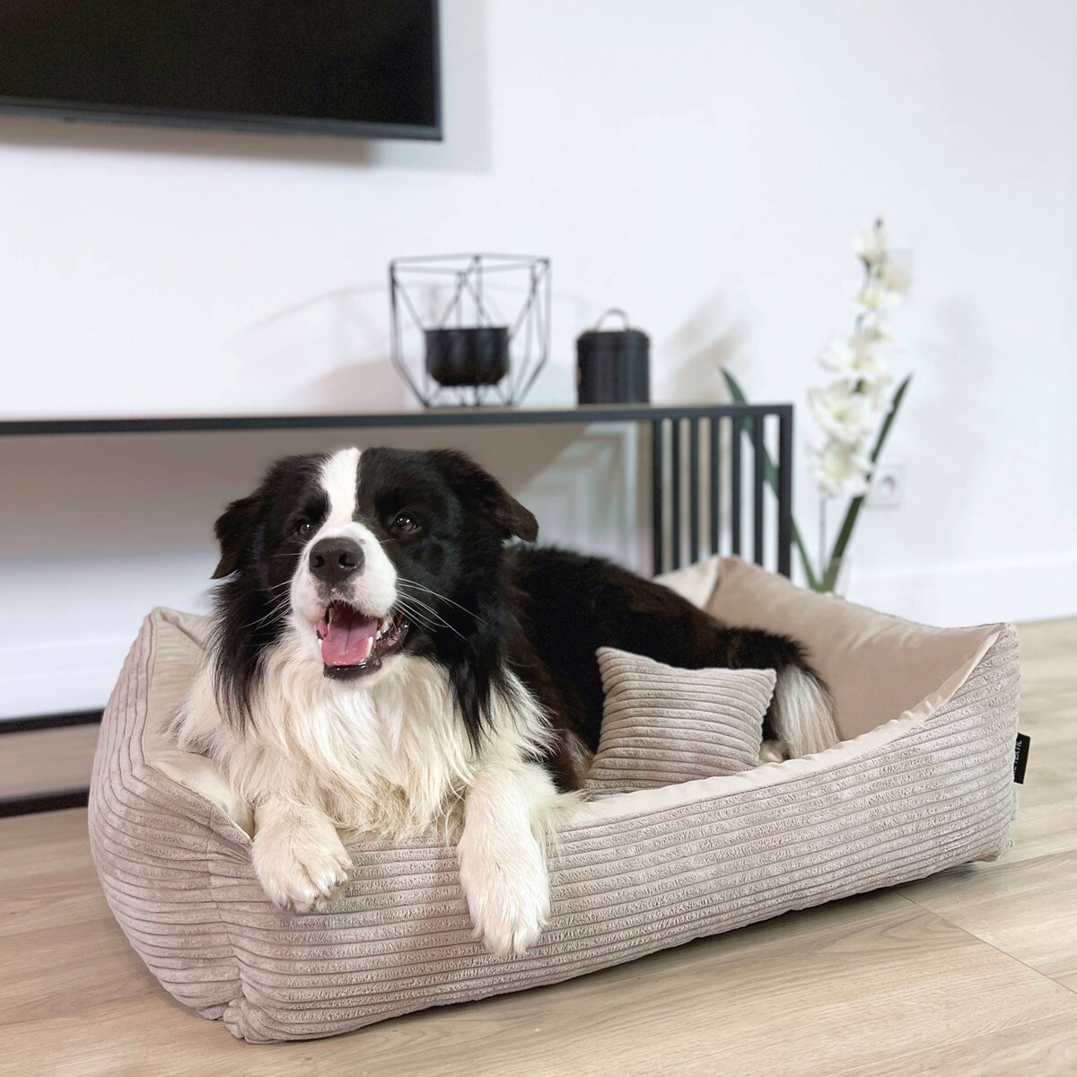 Sztruksowe legowisko dla psa MOLLY, 80x60 cm, Beż