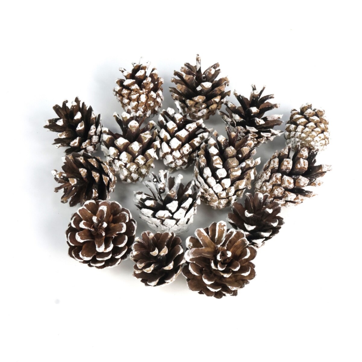 Szyszki sosnowe do dekoracji 5szt. frosted
