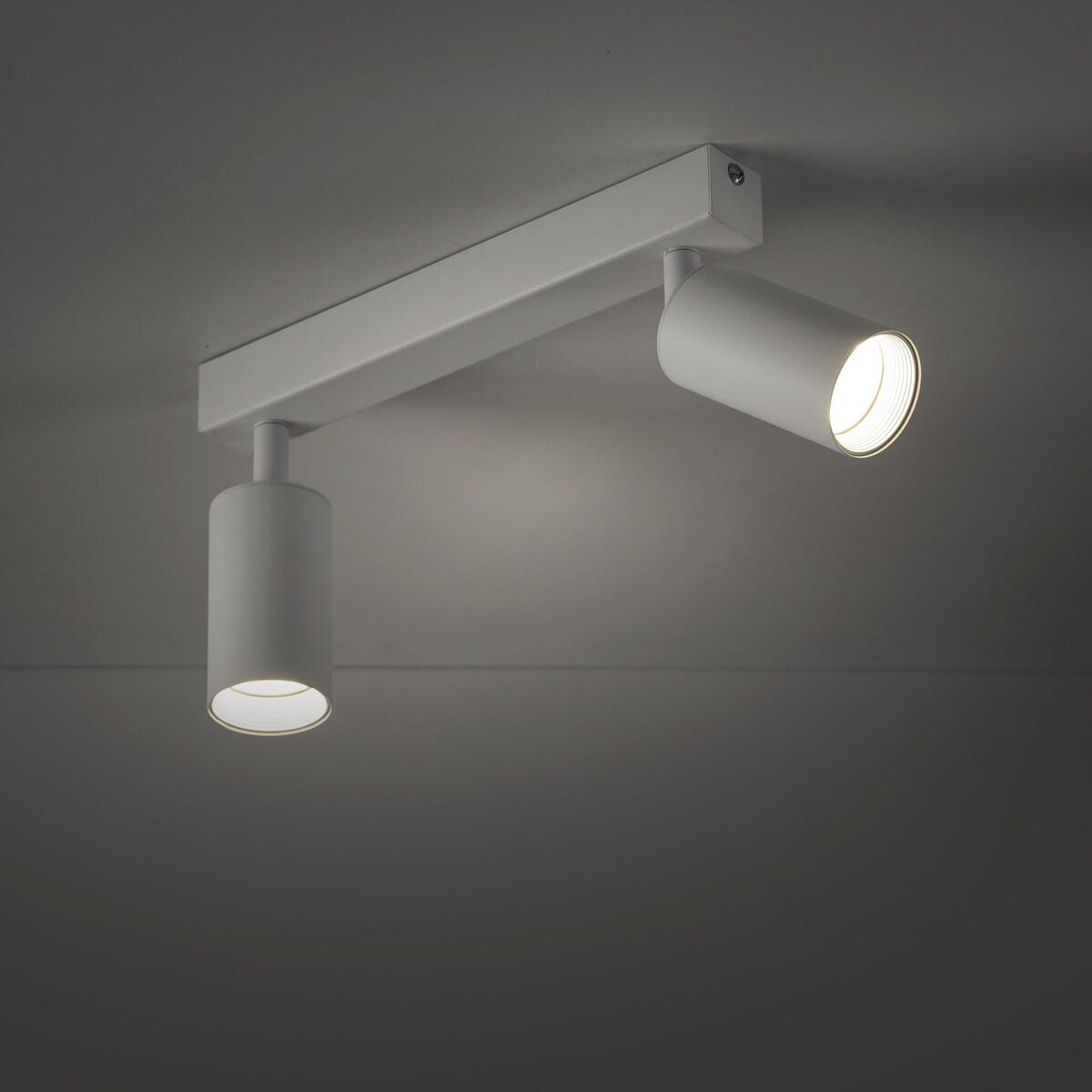 Lampa sufitowa spot AMIS WHITE 2 TK Lighting biała złote akcenty 2xGU10 regulowana 10795