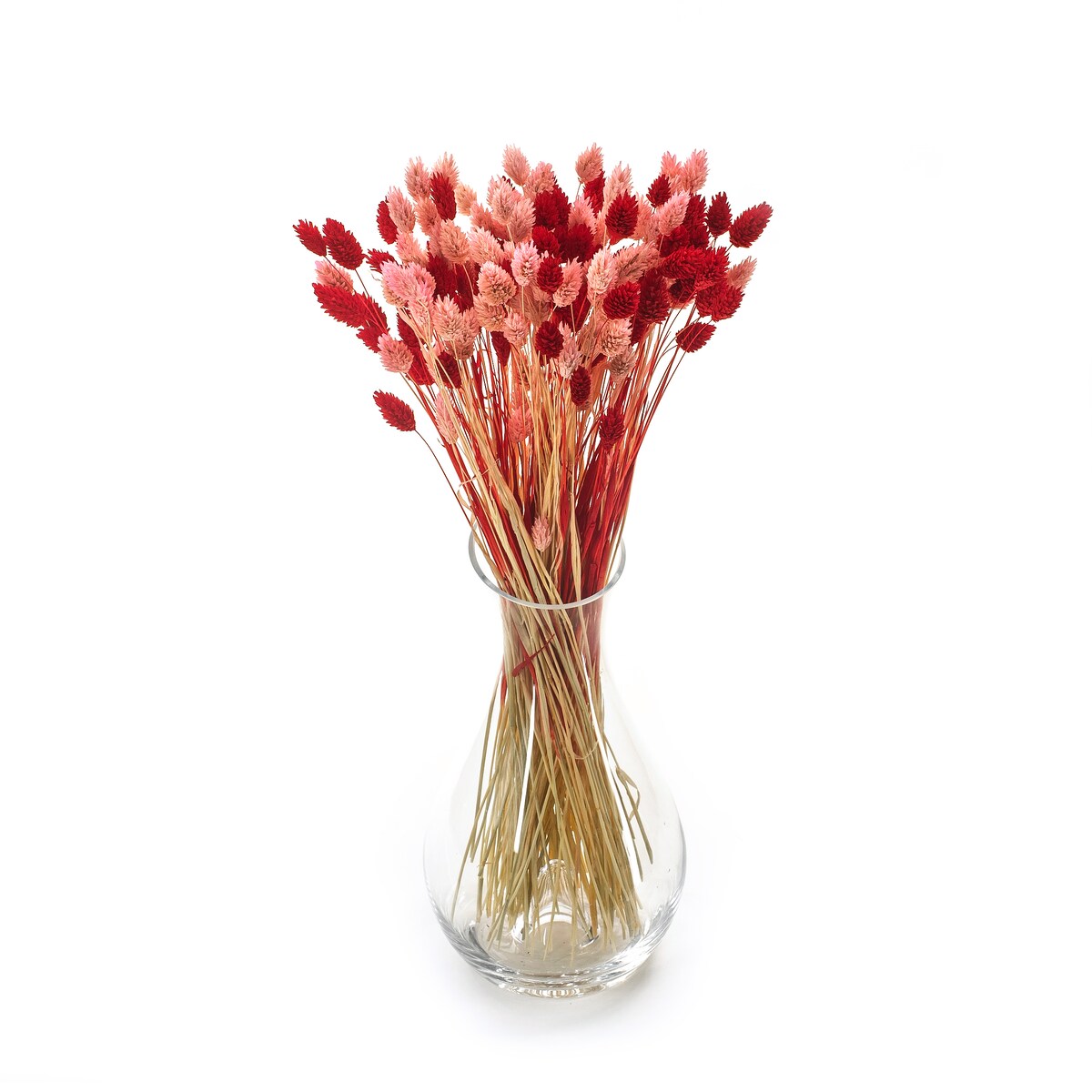 Zestaw duo suszonych traw phalaris jasnoróżowy & phalaris czerwony