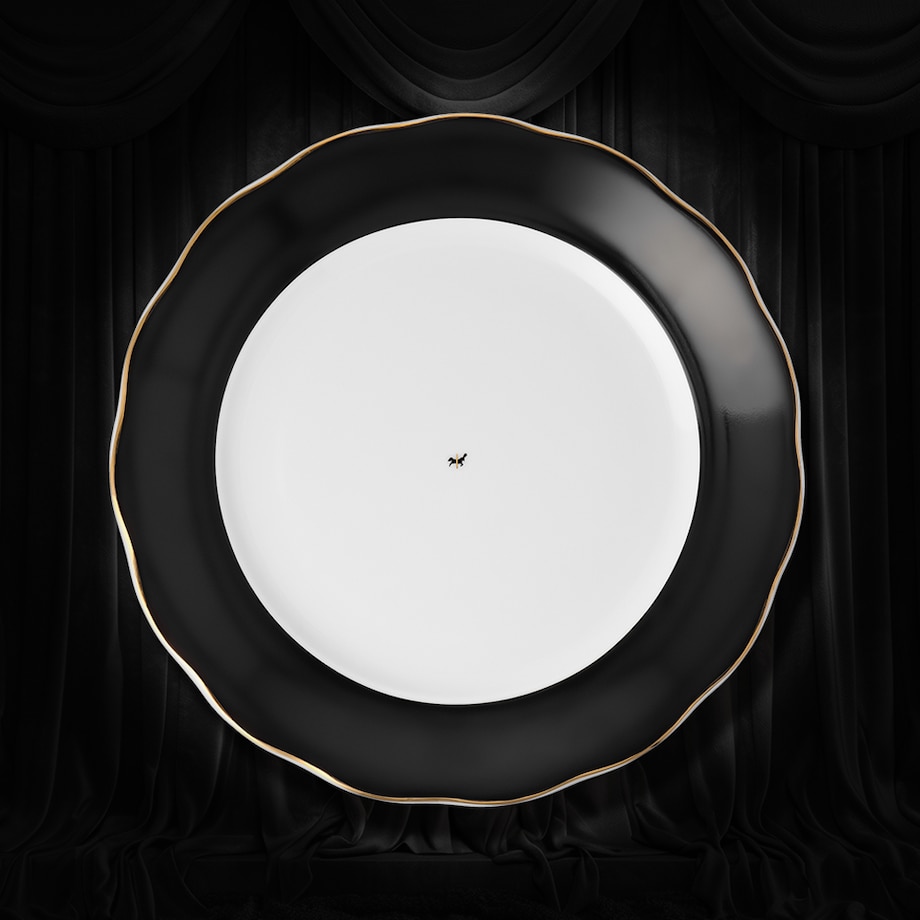 Talerz płytki 26 cm Alaska Circus Black G910