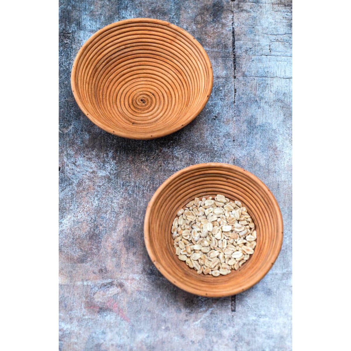 MISECZKA TEGAL KONIAK M