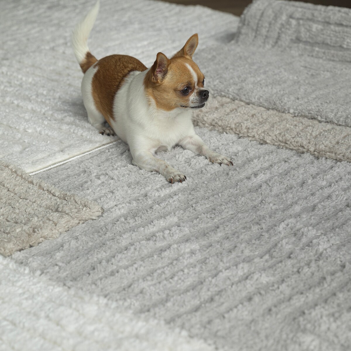 Dywan boho Avalon 80x150 cm e-floor OEKO-TEX szary