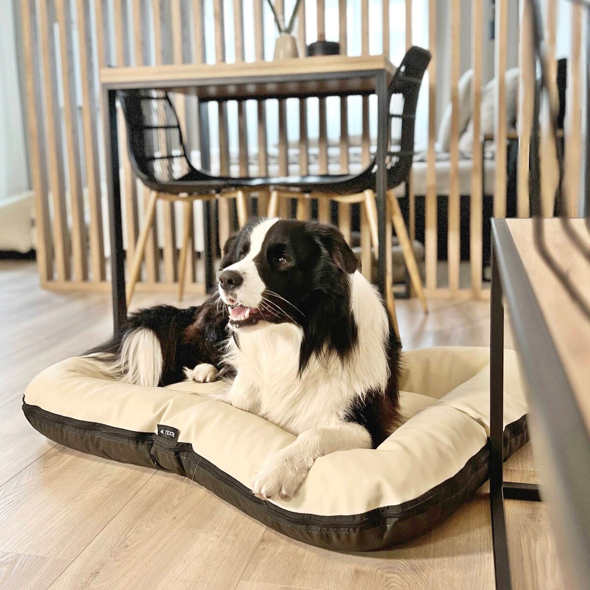 Legowisko Ponton dla psa z eko skóry ELLA, 90x70 cm, Cappuccino