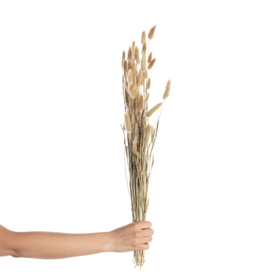 Bukiet Dmuszka 60cm beige, 5 x 5 x 60 cm