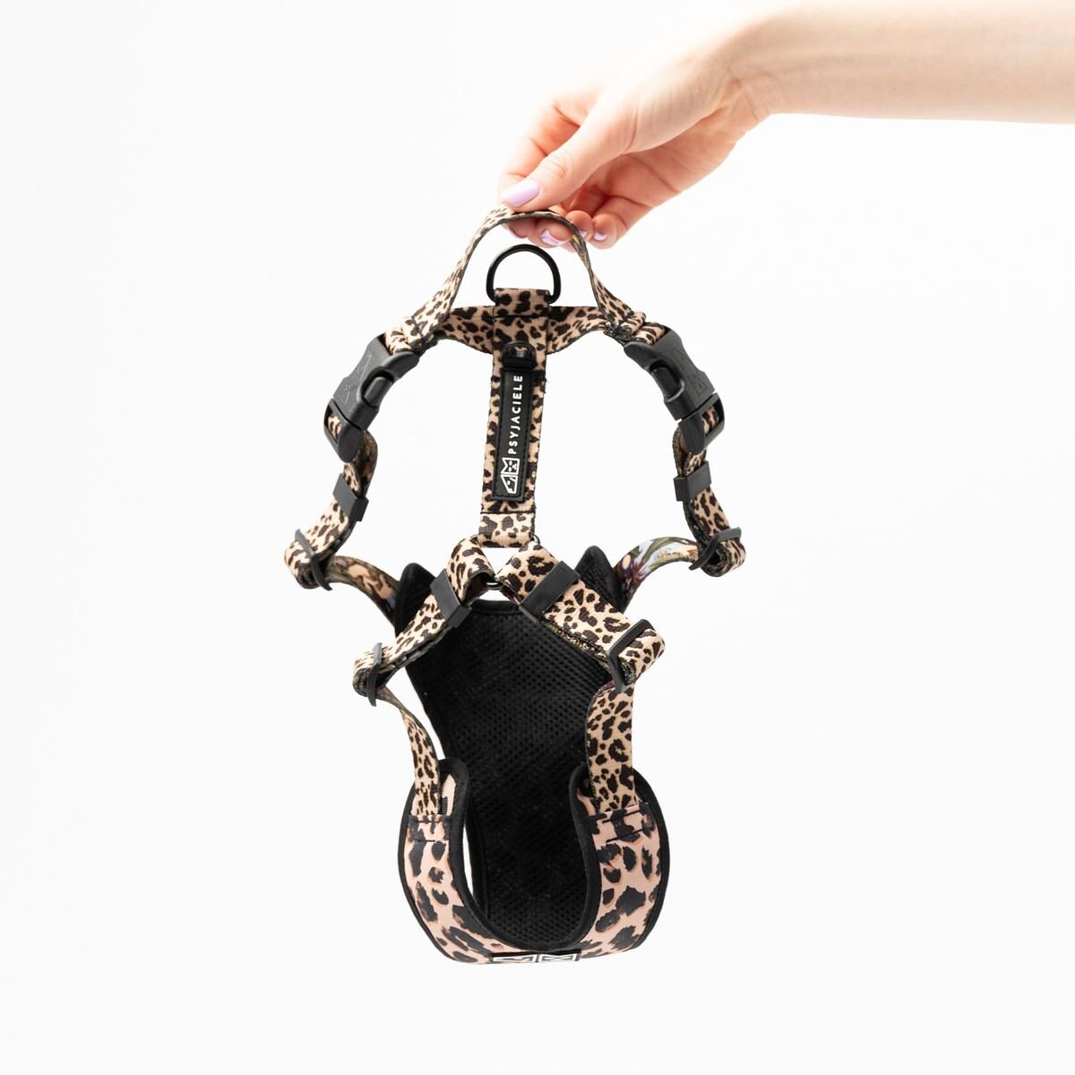 Szelki bezuciskowe dla psa lub kota "Pan tera mi kupi" z panterkowym przodem - Szerokość taśmy: 25mm, Rozmiar: XL