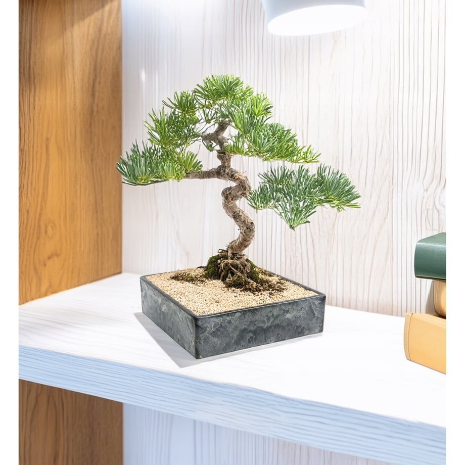 DONICZKA NA BONSAI 25x25cm KWADRATOWA NISKA PŁYTKA IMITACJA MARMURU DUŻA
