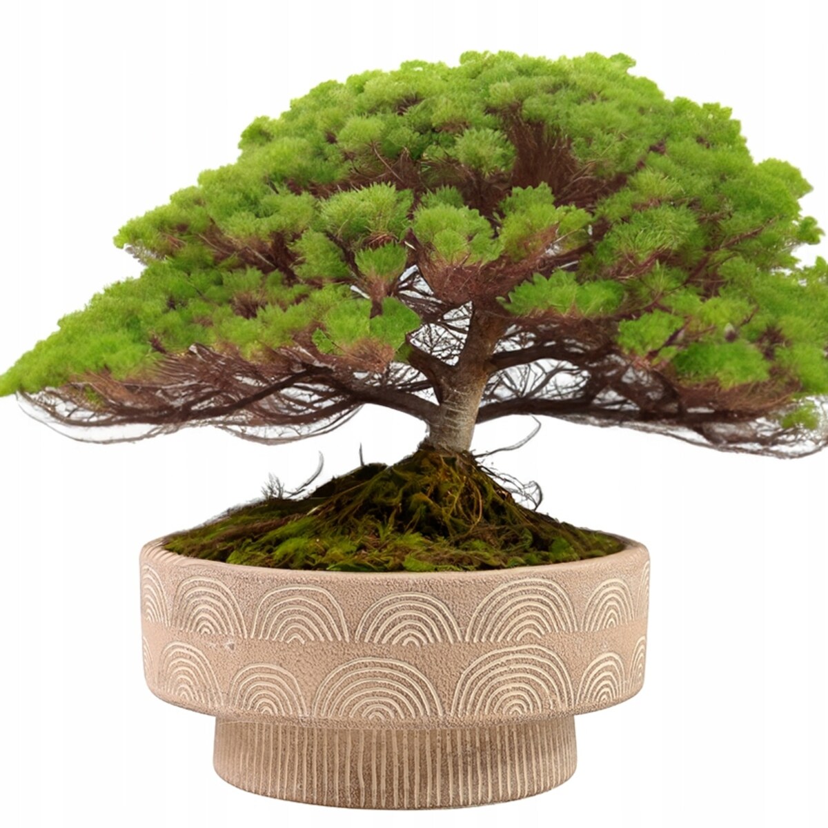 DONICZKA NA BONSAI balkon taras 25cm niska płaska duża beżowa beton BOHO
