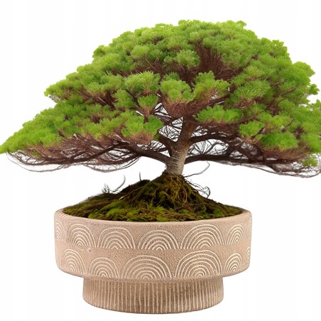 DONICZKA NA BONSAI balkon taras 25cm niska płaska duża beżowa beton BOHO