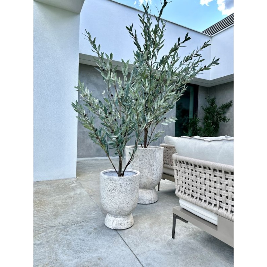 ZESTAW DRZEWEK OLIWNYCH SZARYCH