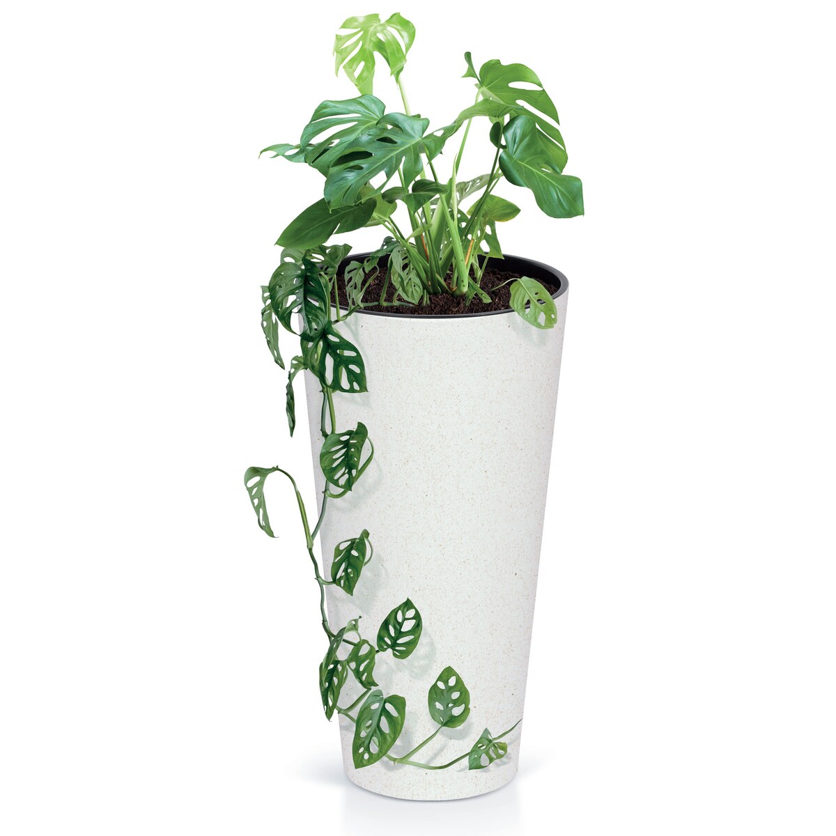 Donica Doniczka Ogrodowa 20 Cm Na Taras Do Ogrodu Domu Eco Wood Biała