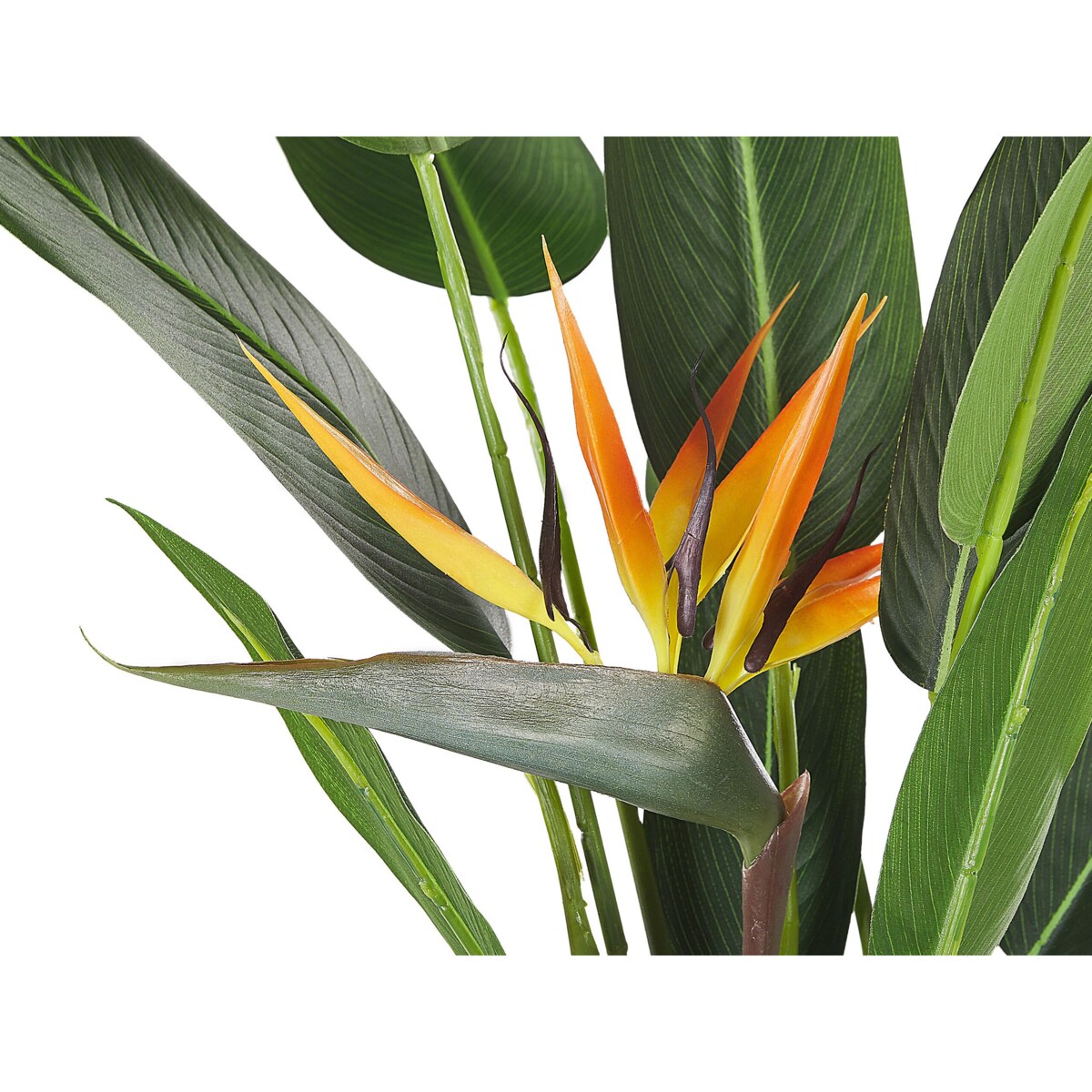 Sztuczna roślina STRELITZIA TREE 115 cm Zielony