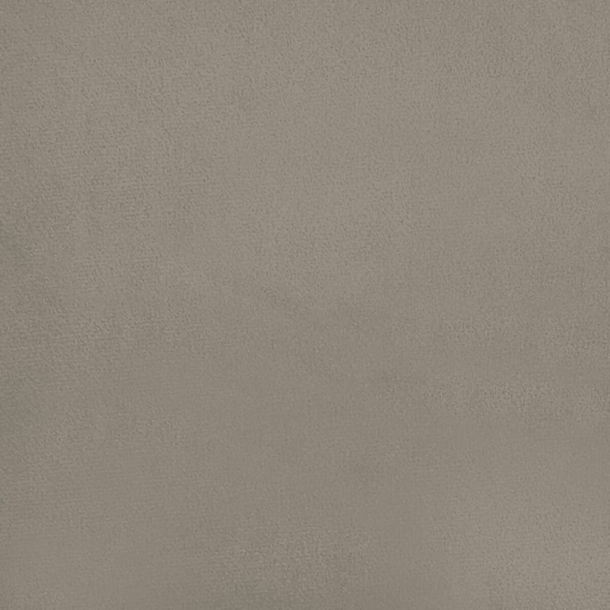 vidaXL 2-osobowa kanapa z 2 poduszkami, jasnoszara, obita aksamitem