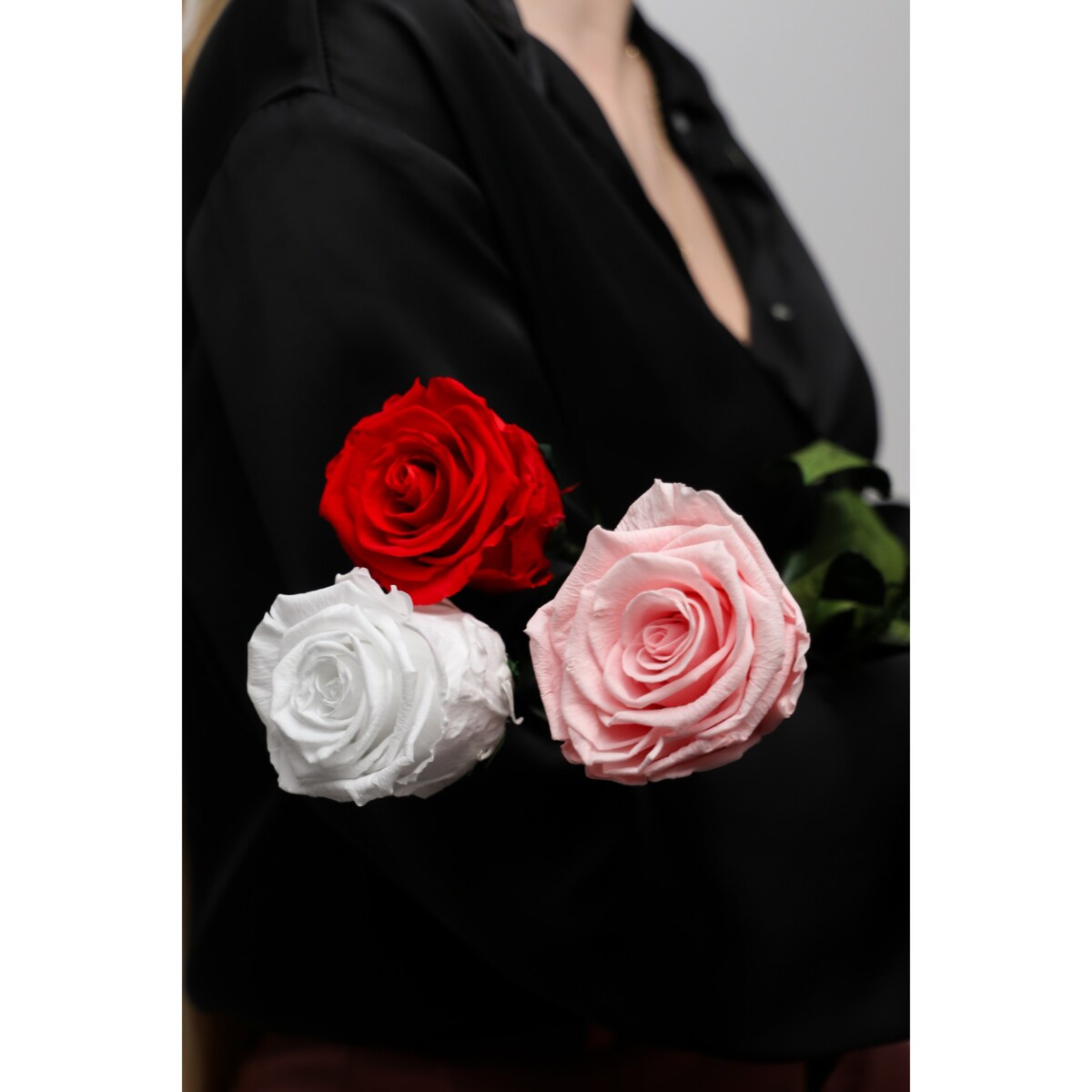 Mega Box 20 sztuk - Wieczna Róża |czerwona| stabilizowana| wysokość 50cm