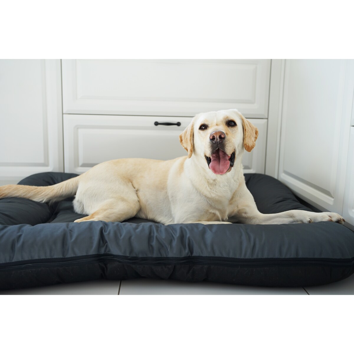 Wodoodporny materac dla psa ponton KLEO, 90x70 cm, Grafit