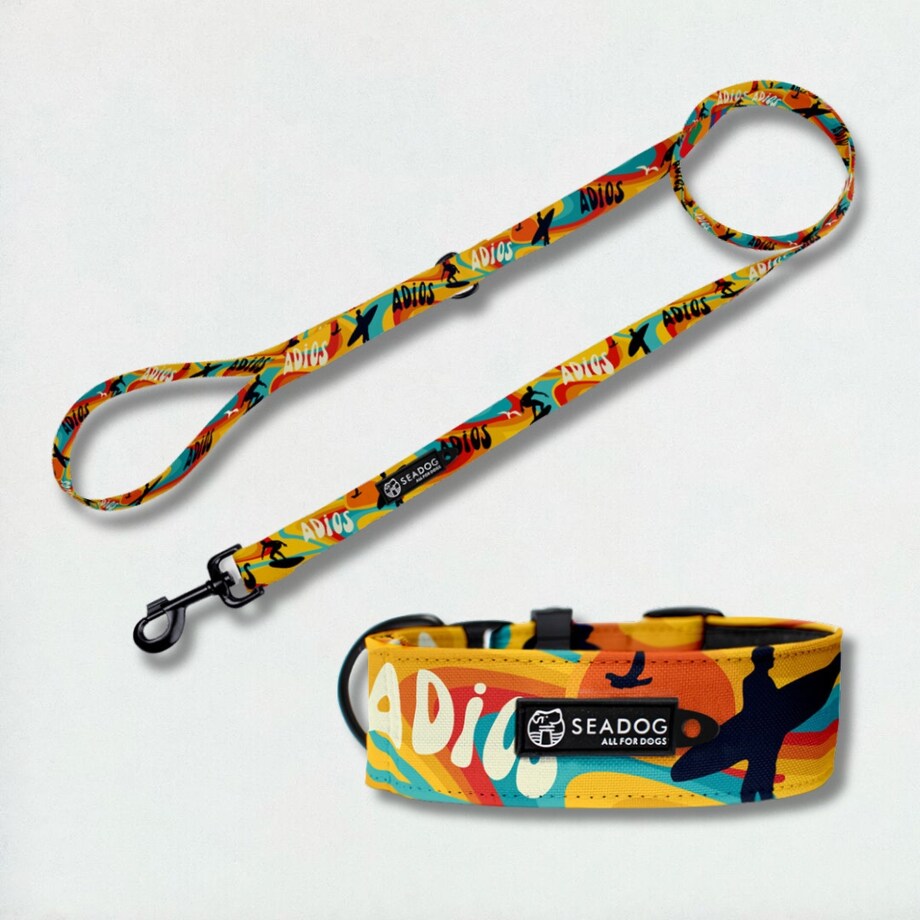 Zestaw: smycz i szeroka obroża, rozmiar L