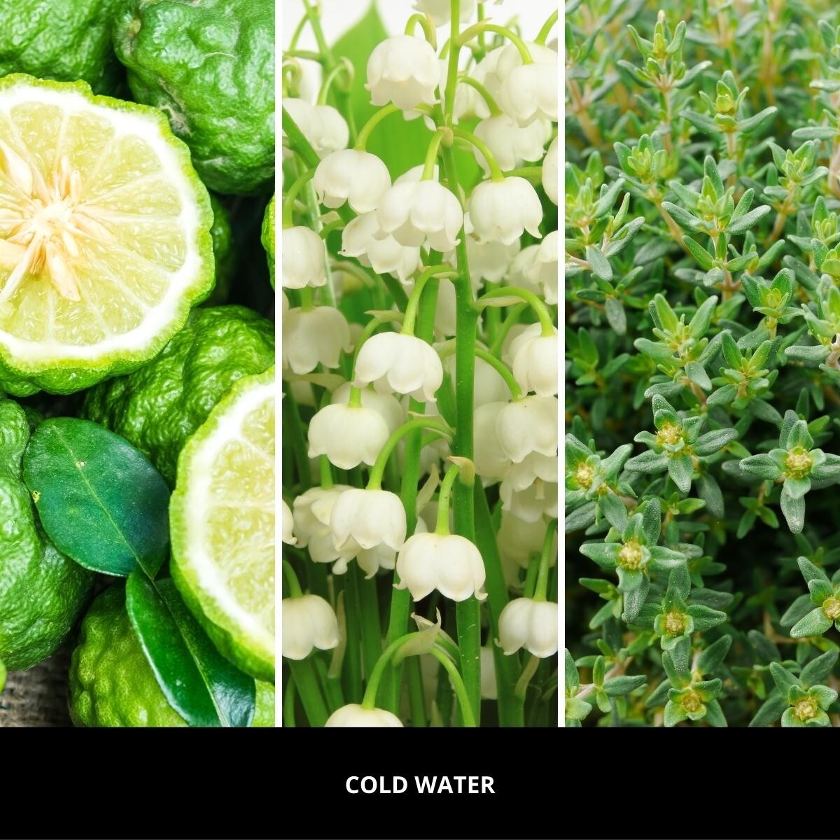 Millefiori uzupełniacz do lampy katalitycznej