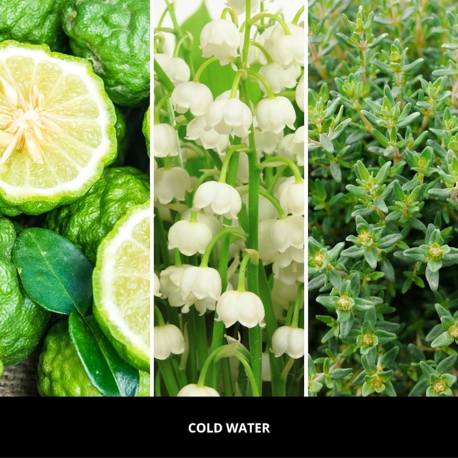 Millefiori uzupełniacz do lampy katalitycznej