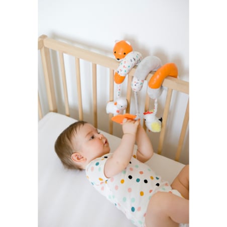 Sensoryczna spirala aktywności - farma