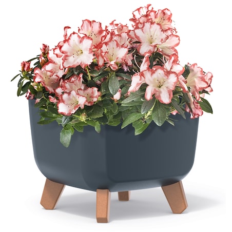 Donica Na Cmentarz Doniczka Na Nóżkach Na Wszystkich Świętych Antracytowa 24 Cm