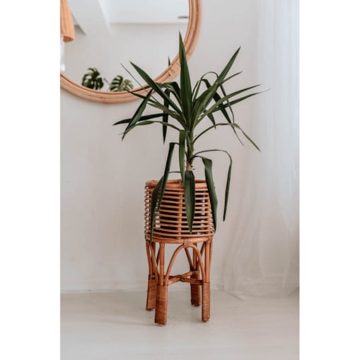 KWIETNIK POLLIE S KARMEL