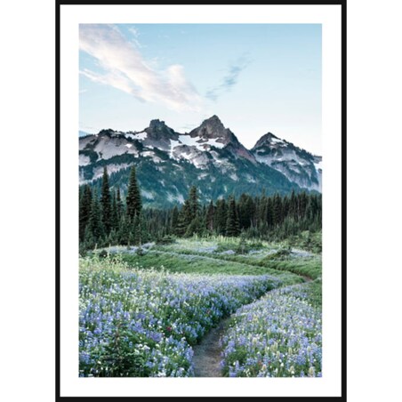 Poster Story, Plakat, Obraz - Wędrówka w Góry, wymiary 70 x 100 cm