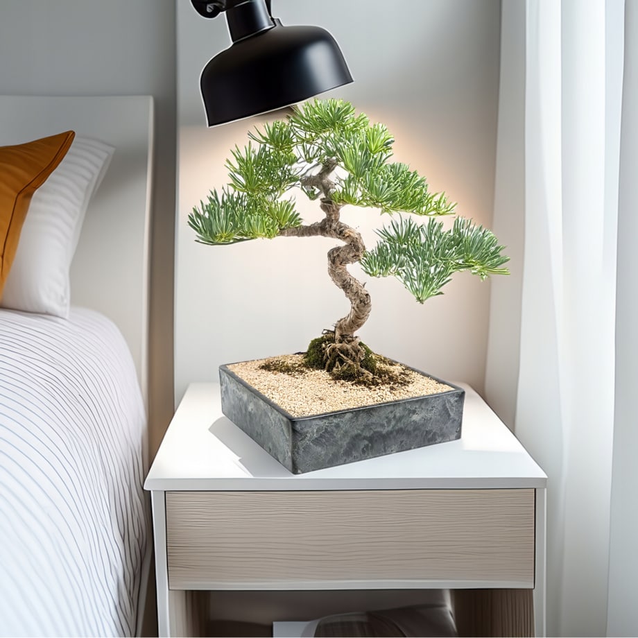 DONICZKA NA BONSAI 25x25cm KWADRATOWA NISKA PŁYTKA IMITACJA MARMURU DUŻA