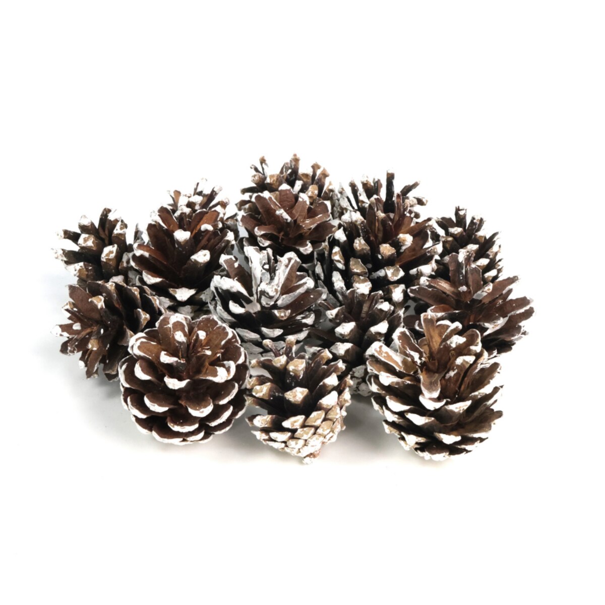 Szyszki sosnowe do dekoracji 5szt. frosted