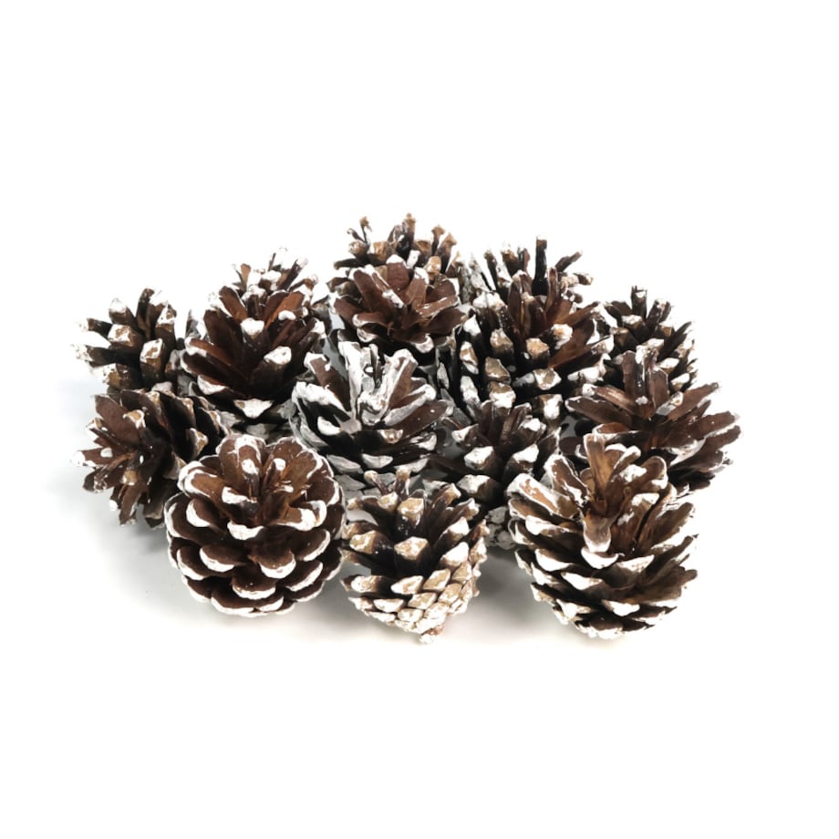 Szyszki sosnowe do dekoracji 5szt. frosted