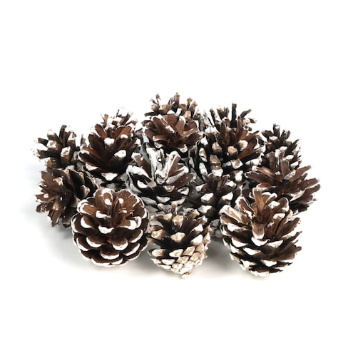Szyszki sosnowe do dekoracji 5szt. frosted