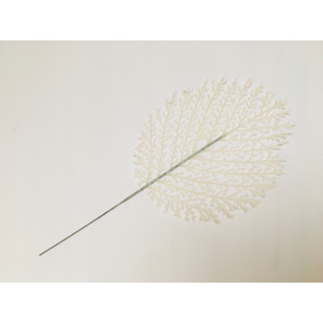 BROKATOWA GAŁĄZKA BIAŁA LIŚĆ paproć do dekoracji święta stroik choinka