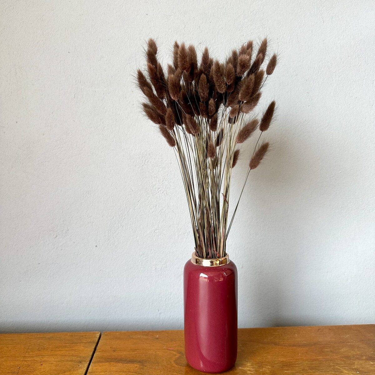 Lagurus Suszony Brązowy