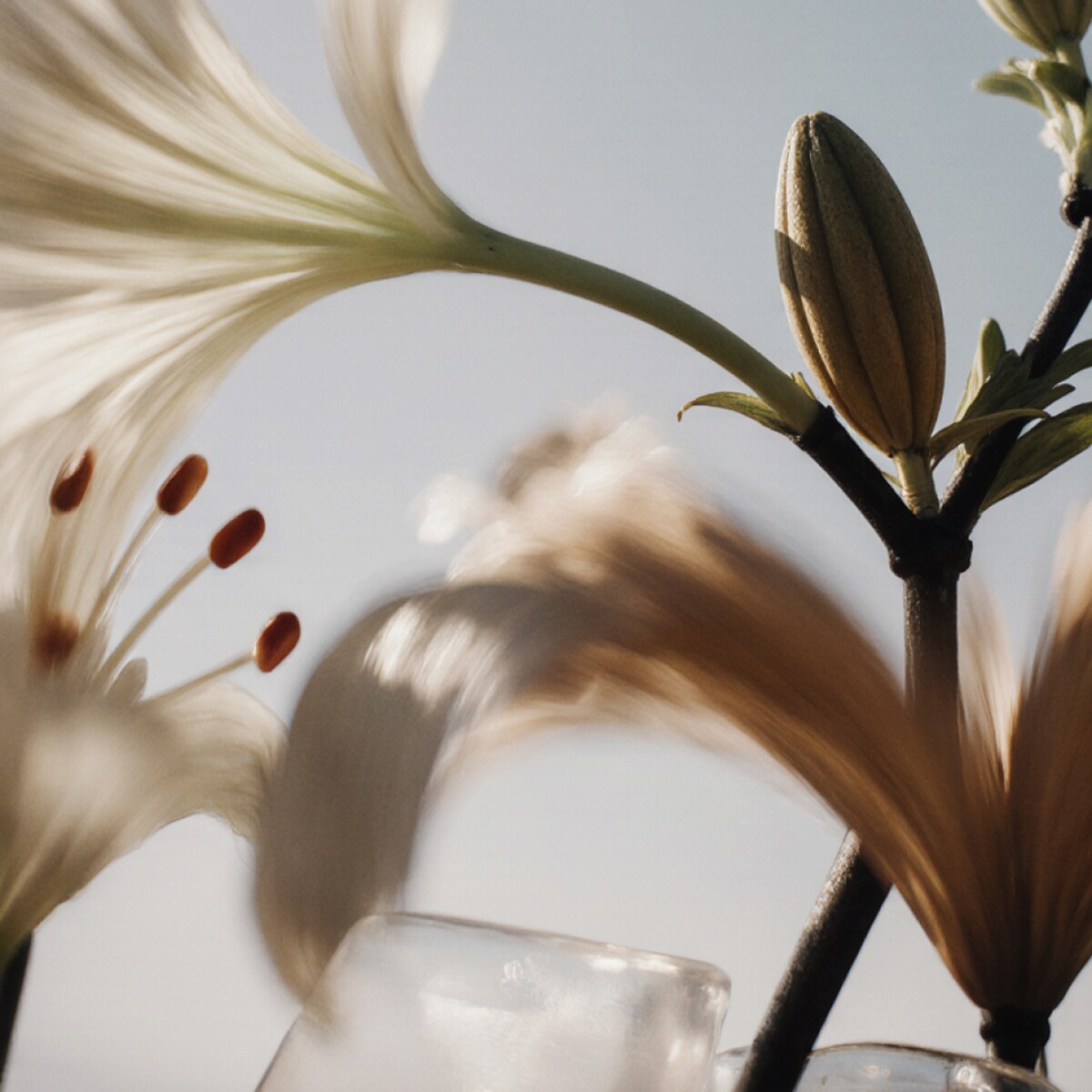 Côte Blanche - 30ml zapach do Dyfuzora Plug In