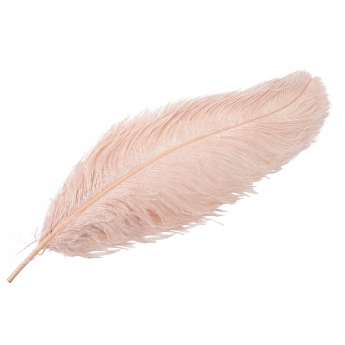 PIÓRO STRUSIE dekoracyjne PUDROWO RÓŻOWE 60cm