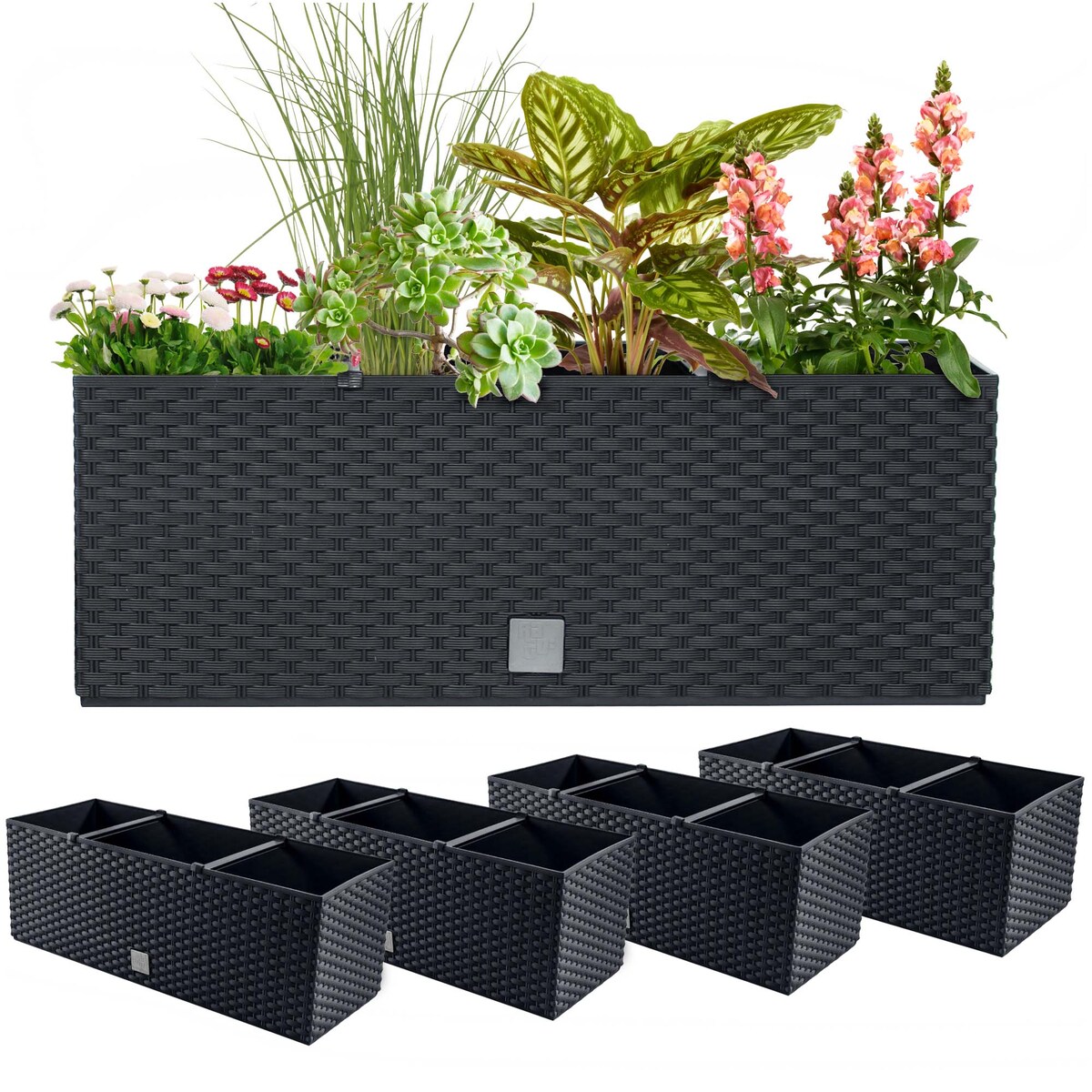 Skrzynki Balkonowe Na Kwiaty Rośliny Doniczka