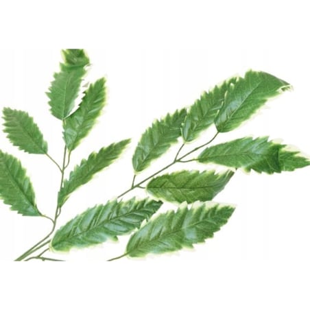 LIŚCIE DO stroika bukietu wiązanki gałązka zielona dodatek na łodydze