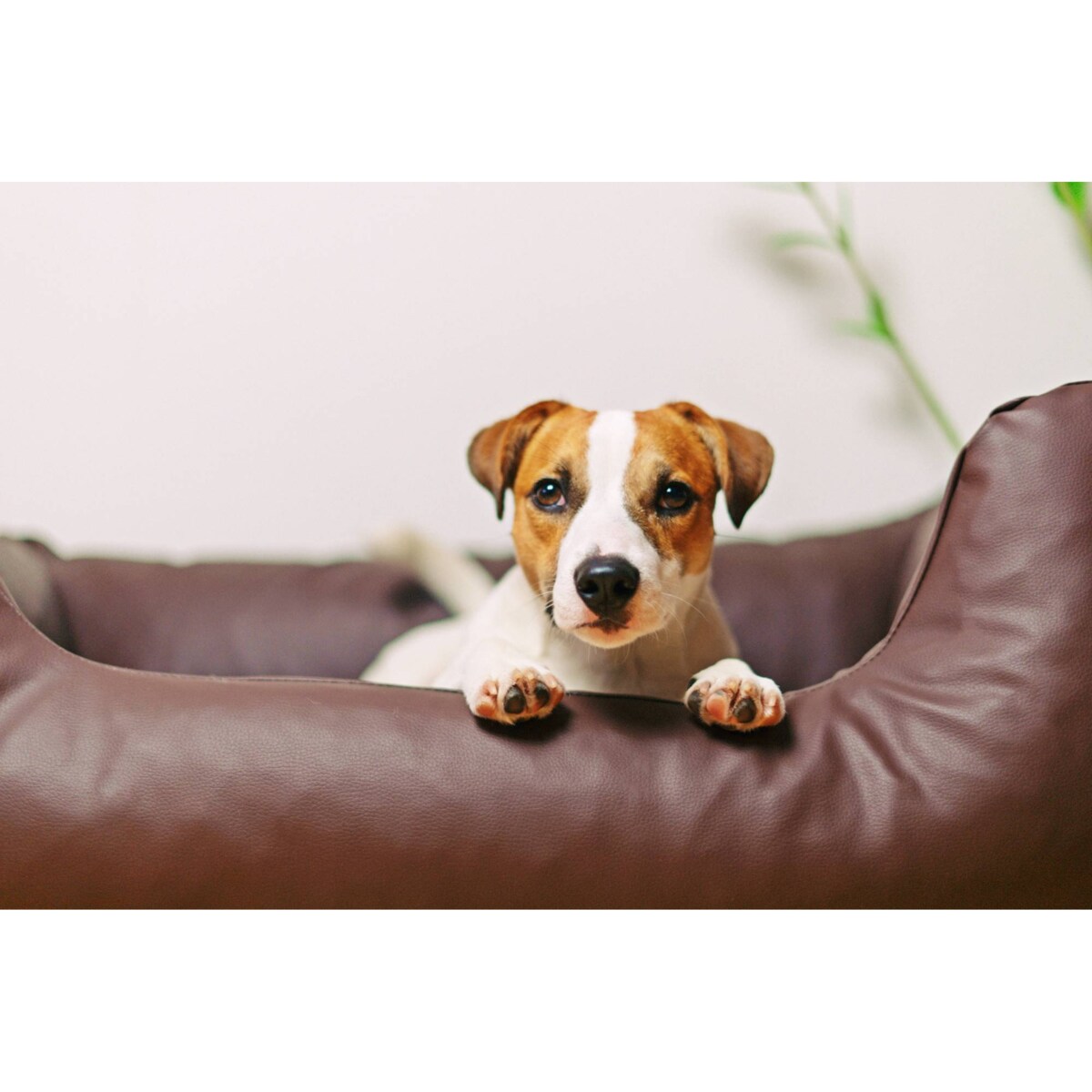 Legowisko dla psa z ekoskóry MARIO, 120x90 cm, Brąz