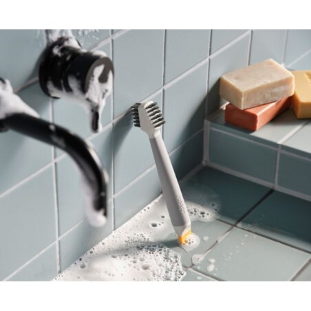 Zestaw 2 szczotek CleanTech Joseph Joseph