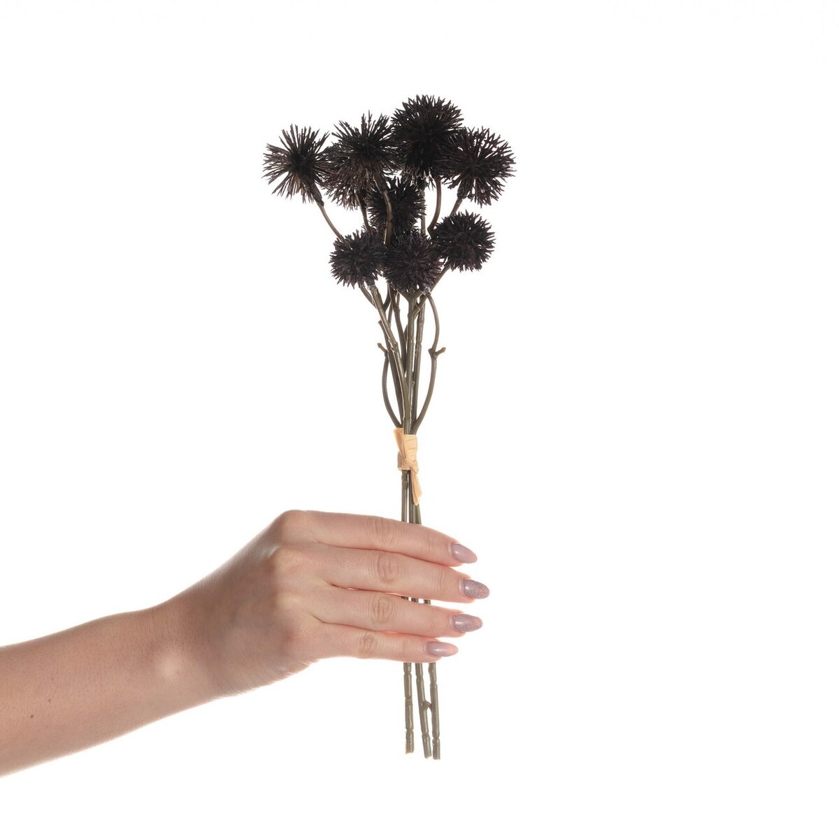 Bukiet Kraspedii 30cm deep brown, 10 x 10 x 30 cm