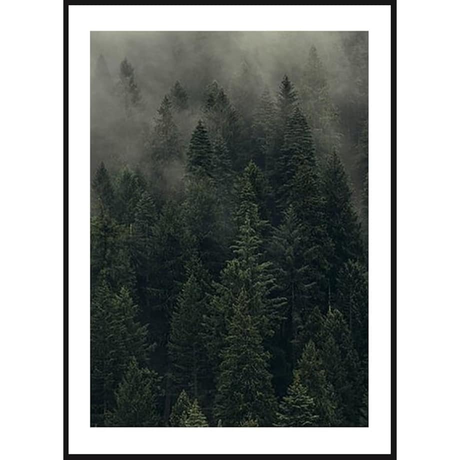 Poster Story, Plakat, Obraz - Mroczny Mglisty Las, wymiary 70 x 100 cm