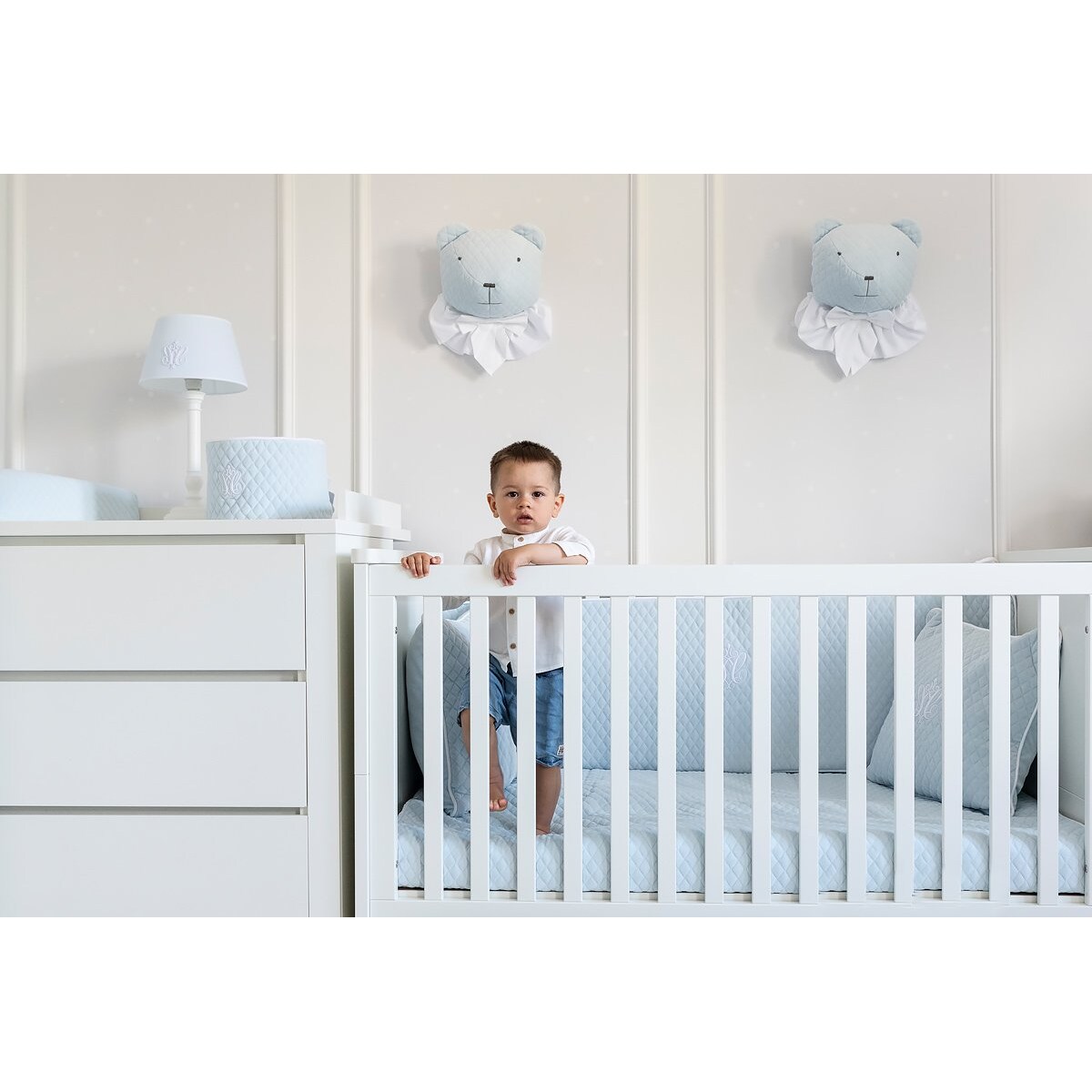 Głowa misia błękitna