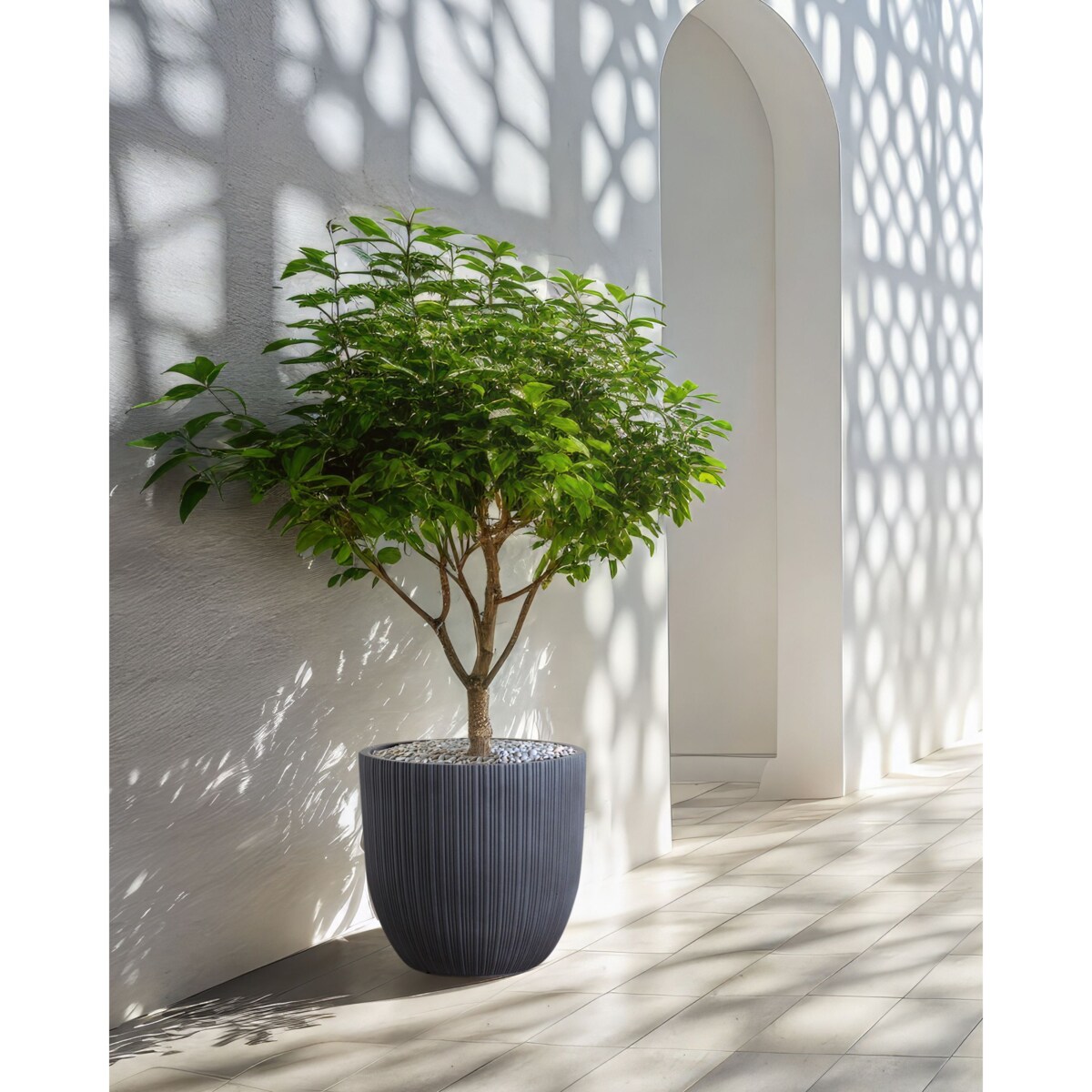 Doniczka 42 x 42 x 39 cm szara FRAXINUS