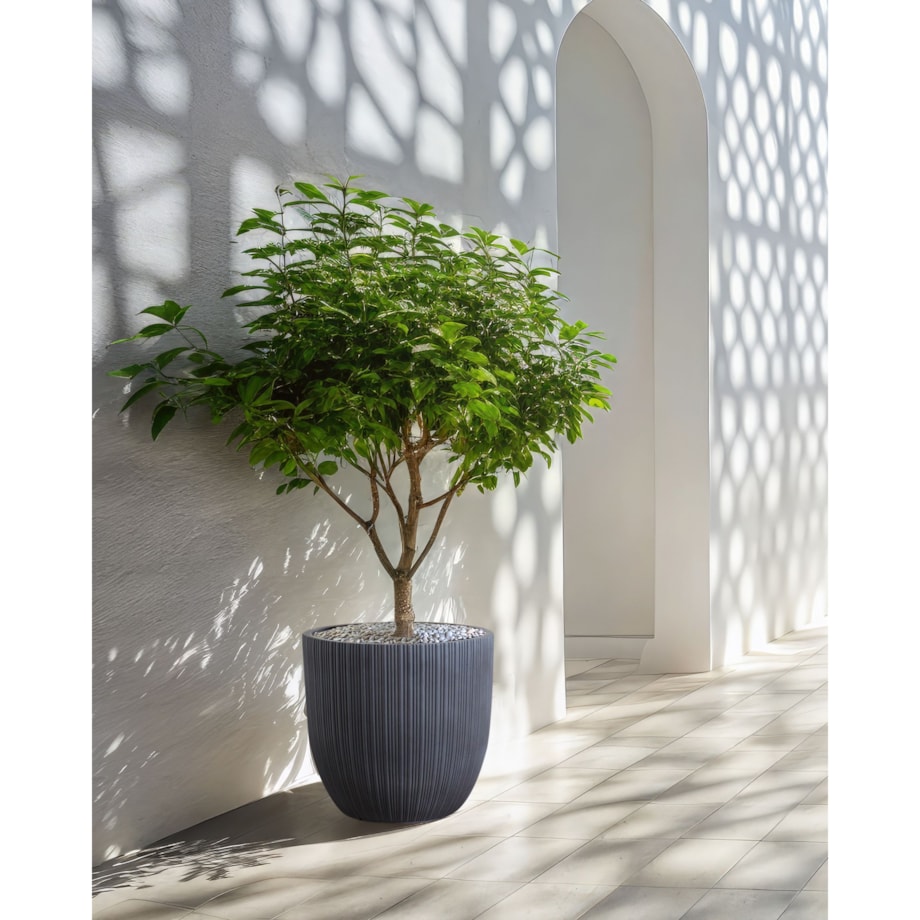 Doniczka 42 x 42 x 39 cm szara FRAXINUS