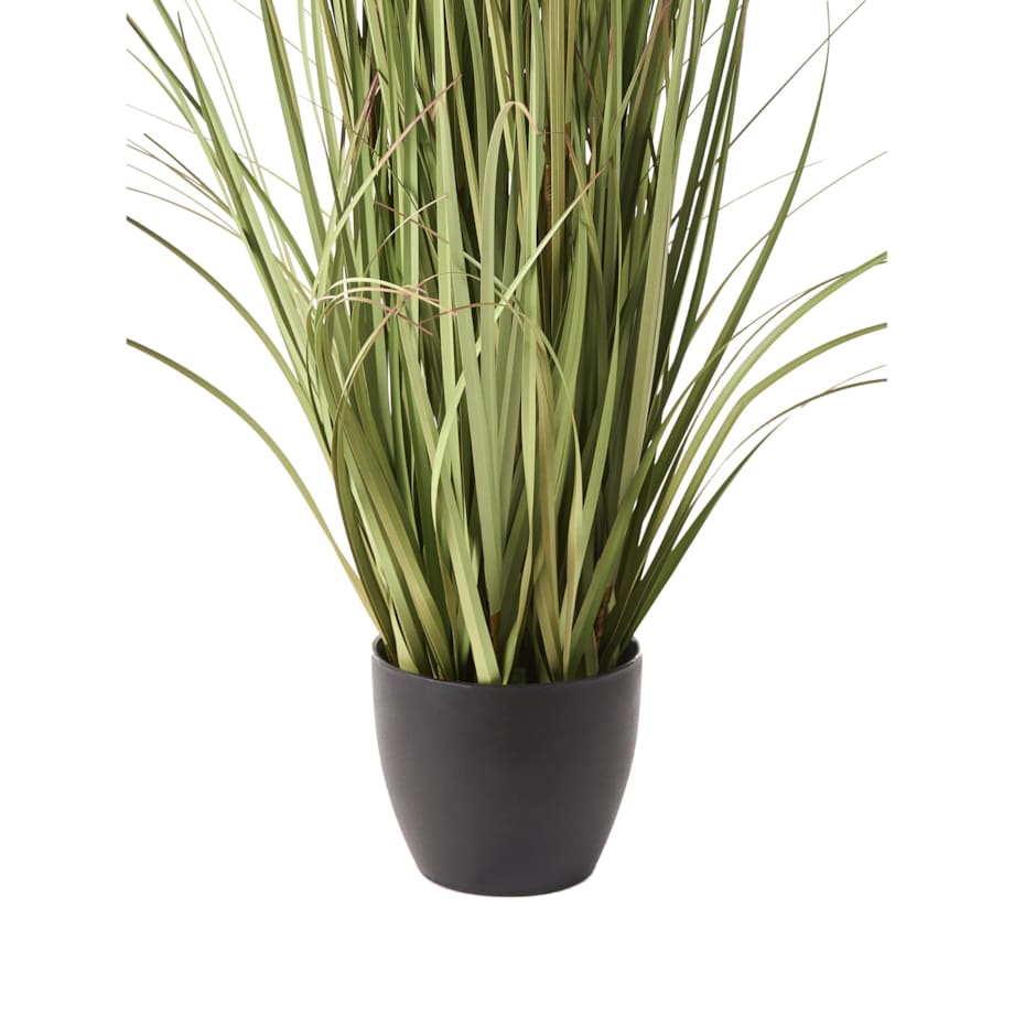 Sztuczna roślina POMPOM GRASS 120 cm Zielony