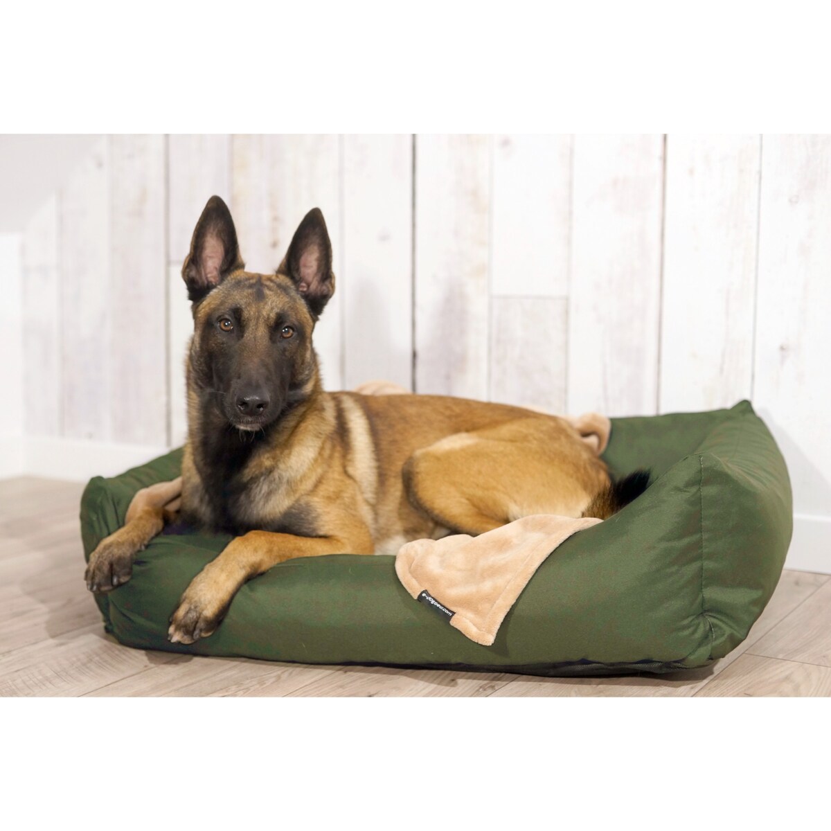 Wodoodporne legowisko dla psa KOKO, 80x60 cm, Zielony