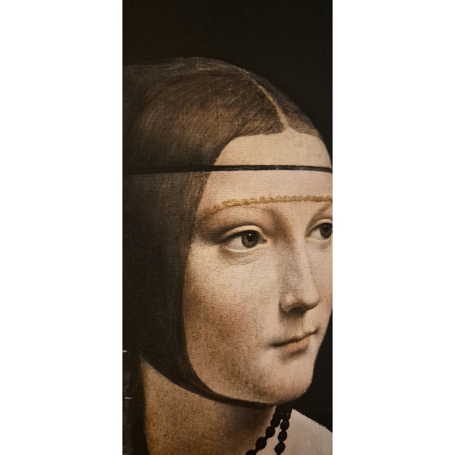 obraz Dama z gronostajem Leonardo da Vinci 40cm x 55cm
