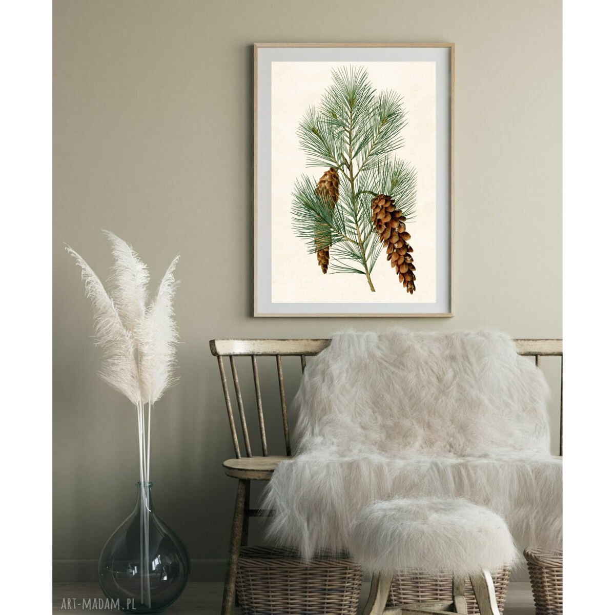 Poster Story, Plakat, Obraz - Rycina Sosny, wymiary 30 x 42 cm