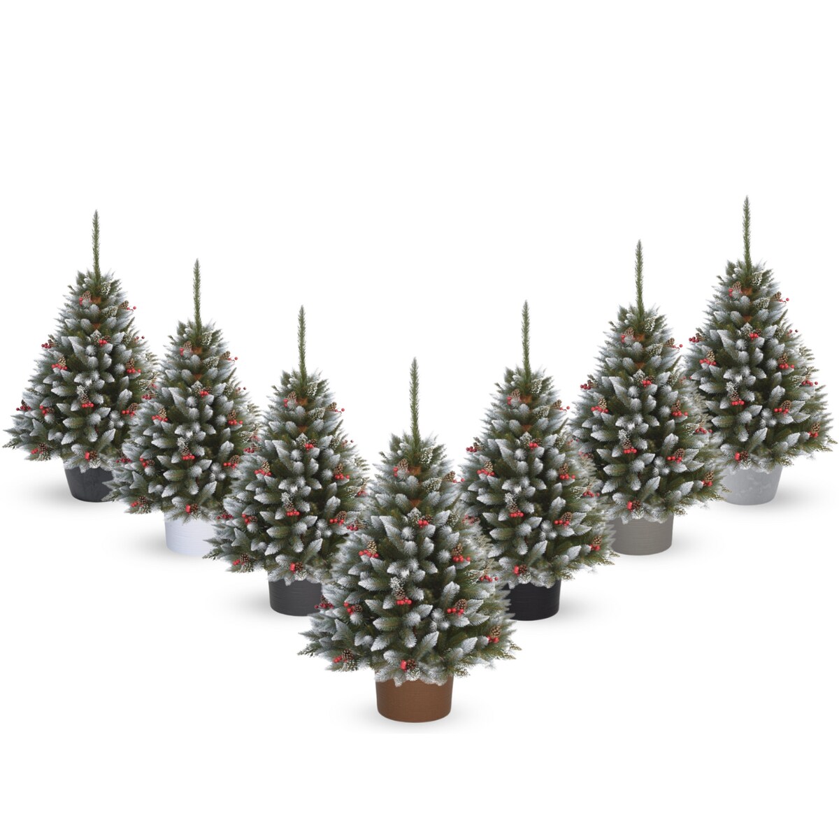 Choinka Premium Świerk Diamentowy Ilex w Okrągłej Donicy 160 cm X-Choinka 7 kolorów donicy